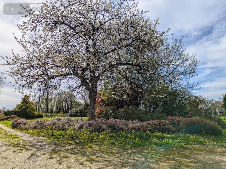 Maison a vendre Landelles-et-Coupigny 14380 Calvados 152 m2 5 pièces 221550 euros