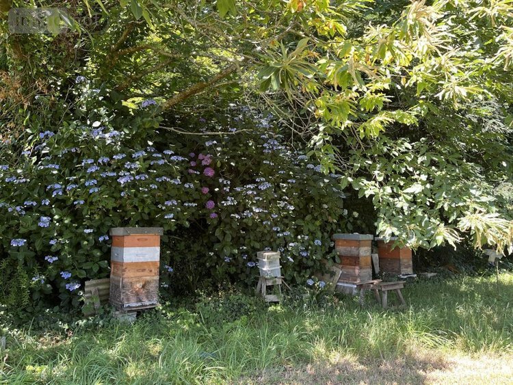 Maison a vendre La Forêt-Fouesnant 29940 Finistère 160 m2 7 pièces 637450 euros