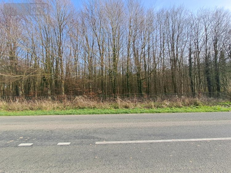 Maison a vendre Landrethun-lès-Ardres 62610 Pas-de-Calais 113 m2 4 pièces 167260 euros