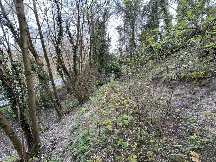 Divers a vendre Corbie 80800 Somme 7990 m2  17000 euros