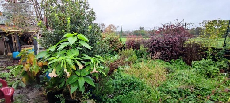 Maison a vendre Buironfosse 02620 Aisne 85 m2 4 pièces 81000 euros
