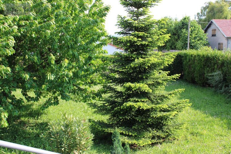 Maison a vendre Pont-du-Château 63430 Puy-de-Dôme 130 m2 7 pièces 299000 euros