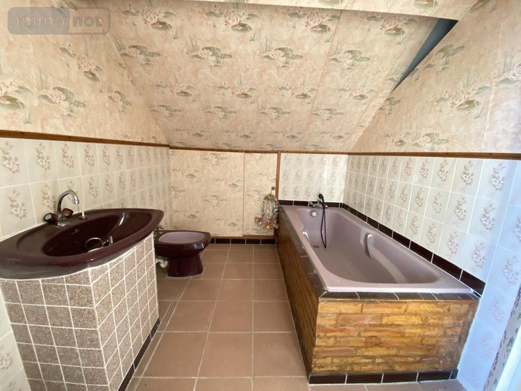 Maison a vendre Villemandeur 45700 Loiret 82 m2  126700 euros