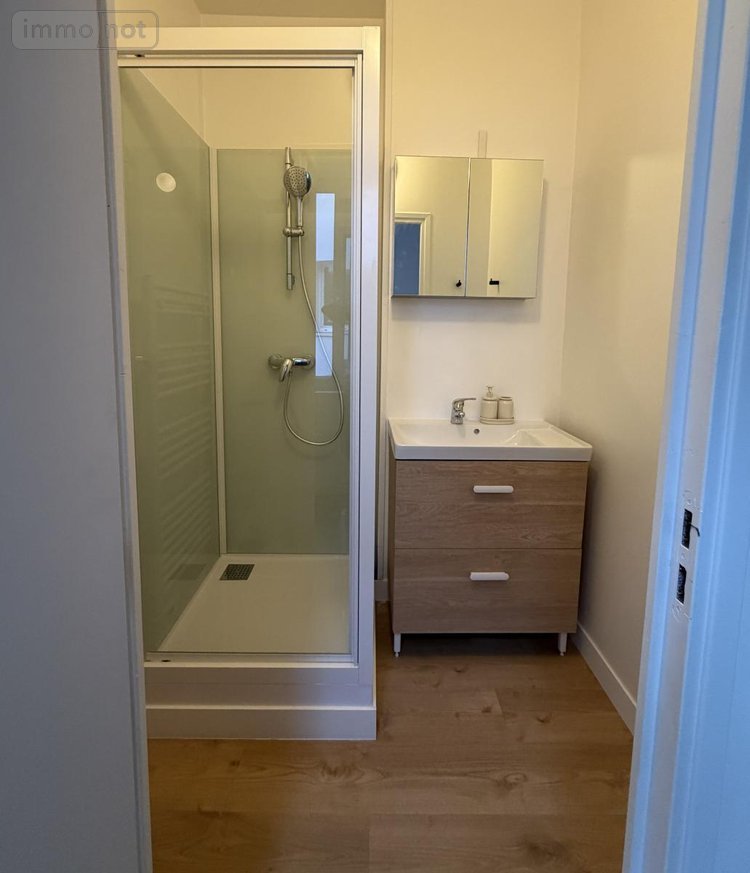 Location appartement Lille 59000 Nord 51 m2  1200 euros