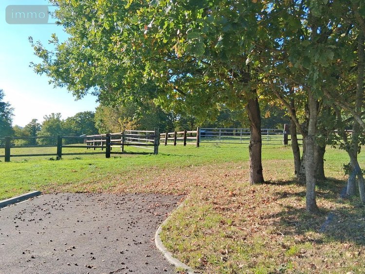 Maison a vendre Rives-d'Andaine 61140 Orne 570 m2 11 pièces 4300000 euros