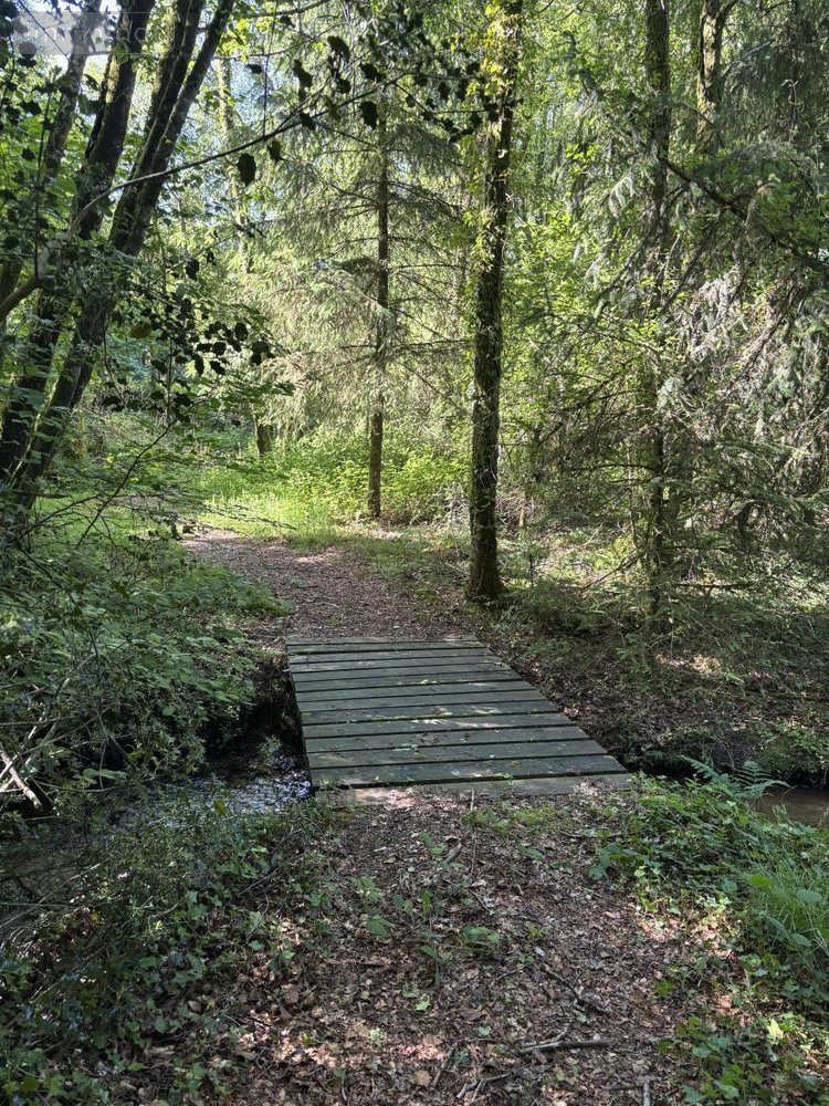 Terrains de loisirs bois etangs a vendre Noues de Sienne 14380 Calvados 185705 m2  399000 euros