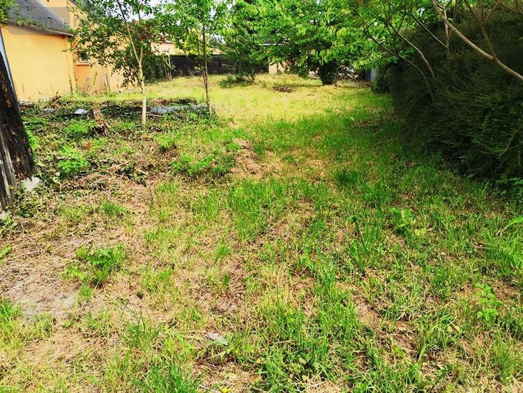 Maison a vendre Le Ménil-de-Briouze 61220 Orne 70 m2 4 pièces 64600 euros