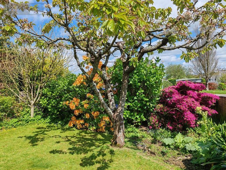 Maison a vendre Plourin-lès-Morlaix 29600 Finistère 131 m2 7 pièces 223000 euros