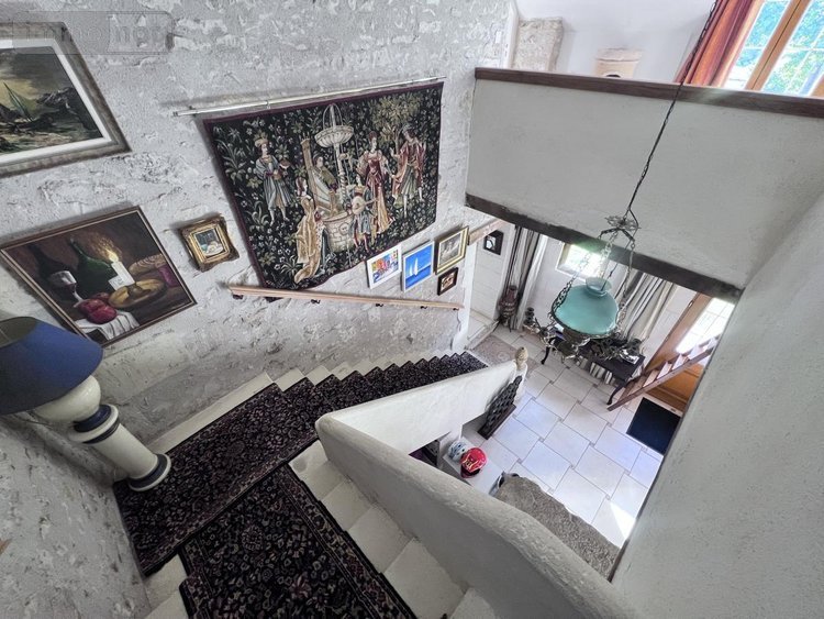 Maison a vendre Châtillon-sur-Cher 41130 Loir-et-Cher 385 m2 14 pièces 420000 euros