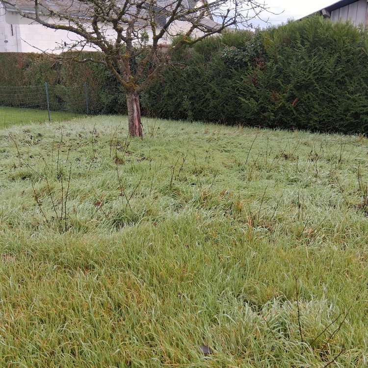 Maison a vendre Beaufort-en-Anjou 49250 Maine-et-Loire 88 m2 4 pièces 187650 euros