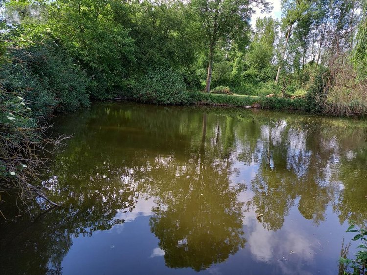 Terrains de loisirs bois etangs a vendre Parçay-sur-Vienne 37220 Indre-et-Loire 7760 m2  23600 euros