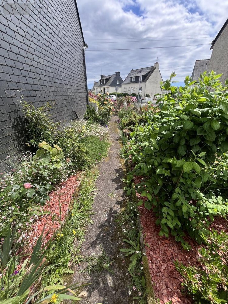 Maison a vendre Vannes 56000 Morbihan 115 m2 5 pièces 324500 euros