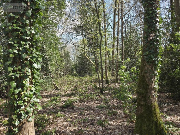 Maison a vendre Château-Gontier-sur-Mayenne 53200 Mayenne 193 m2 8 pièces 445900 euros