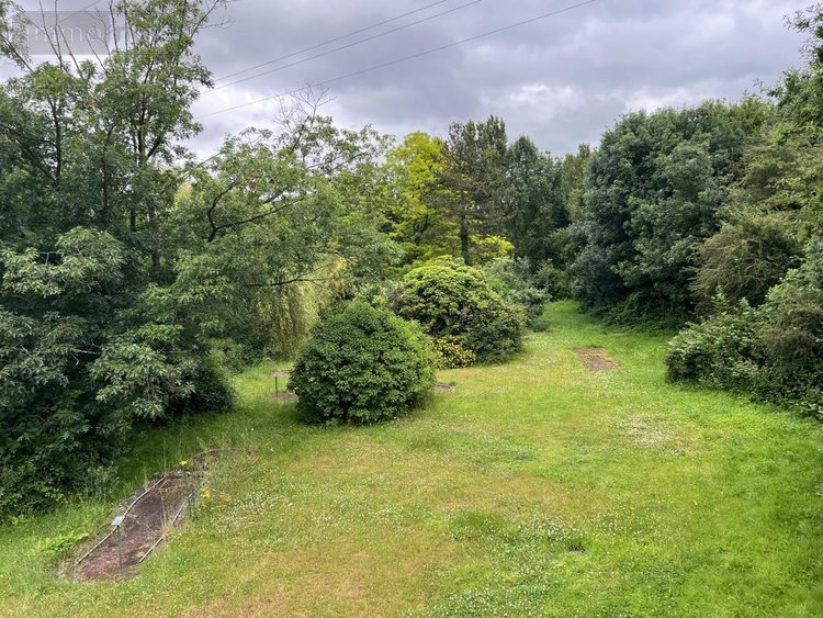 Fonds et murs commerciaux a vendre Beaupréau-en-Mauges 49600 Maine-et-Loire 1275 m2  619200 euros