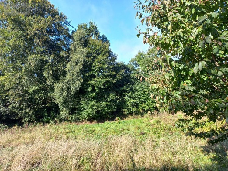 Maison a vendre Le Gouray 22330 Côtes-d'Armor 120 m2 4 pièces 212000 euros