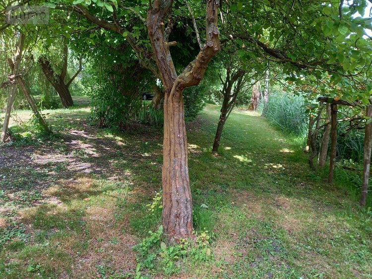 Terrains de loisirs bois etangs a vendre Parçay-sur-Vienne 37220 Indre-et-Loire 7760 m2  23600 euros