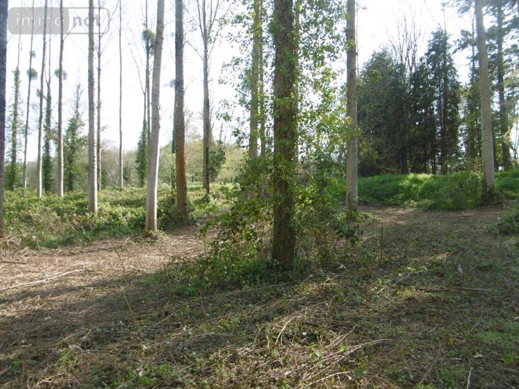 Terrains de loisirs bois etangs a vendre Pont-Farcy 50420 Manche 3960 m2  11000 euros