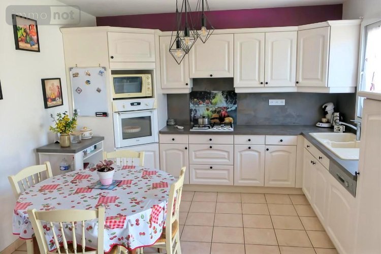 Viager maison Saint-Doulchard 18230 Cher 120 m2 5 pièces 75000 euros