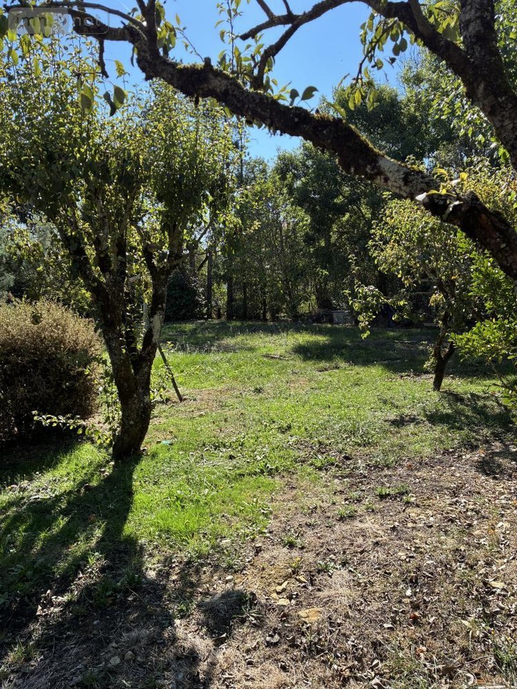 Maison a vendre Saint-Jean-et-Saint-Paul 12250 Aveyron 135 m2 6 pièces 172500 euros