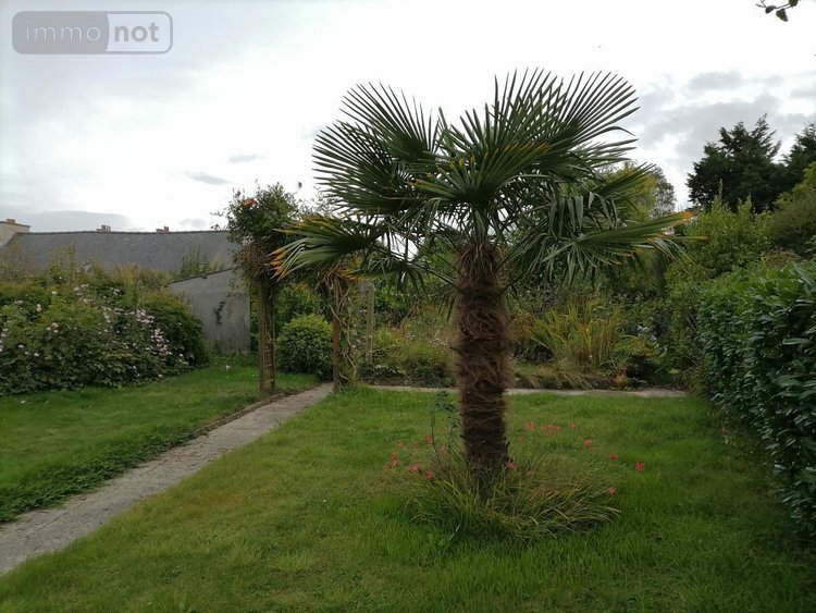Maison a vendre Plouézec 22470 Côtes-d'Armor 90 m2  194250 euros