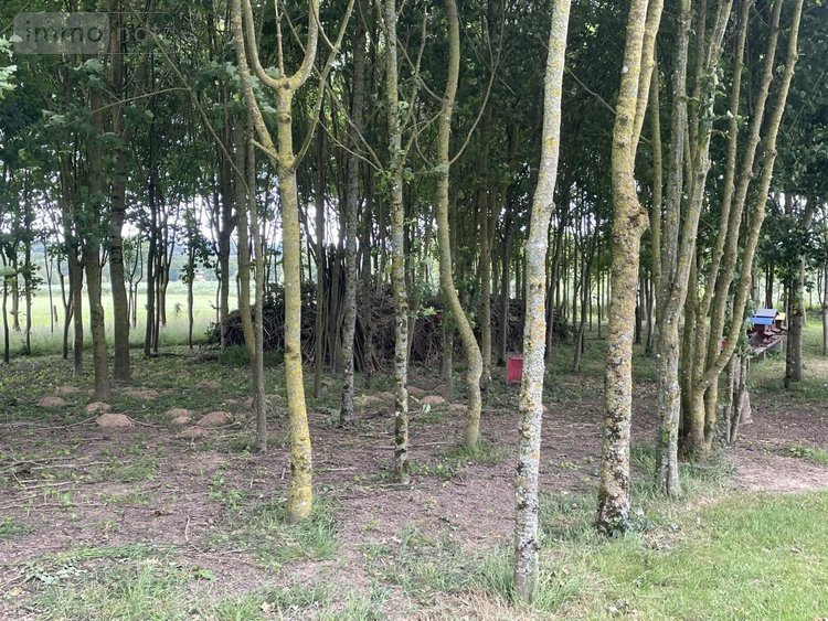 Maison a vendre La Baconnière 53240 Mayenne 190 m2  335360 euros