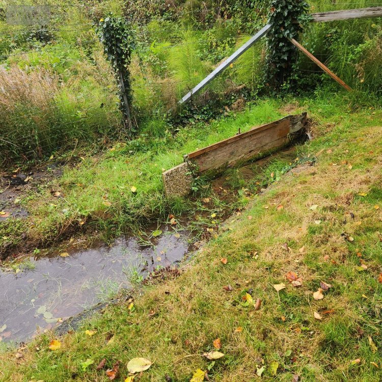 Terrains de loisirs bois etangs a vendre Lamnay 72320 Sarthe 1185 m2  9300 euros