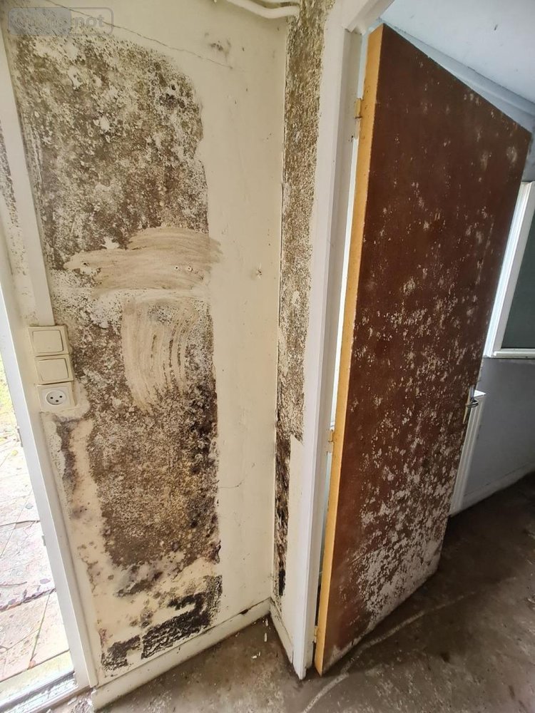 Maison a vendre Savigny-sur-Braye 41360 Loir-et-Cher 48 m2 2 pièces 54800 euros