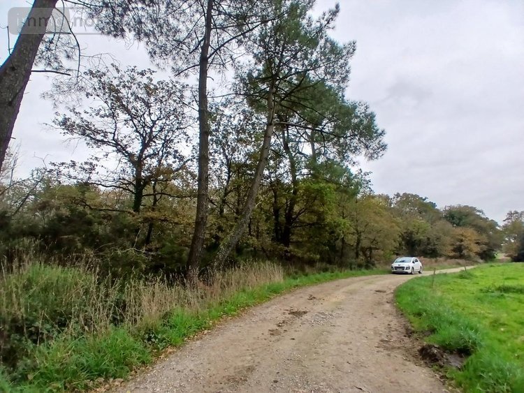 Terrains de loisirs bois etangs a vendre Allaire 56350 Morbihan 7515 m2  7500 euros