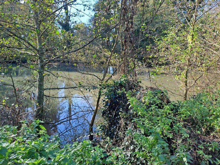 Maison a vendre Rebergues 62850 Pas-de-Calais 394 m2 12 pièces 581660 euros