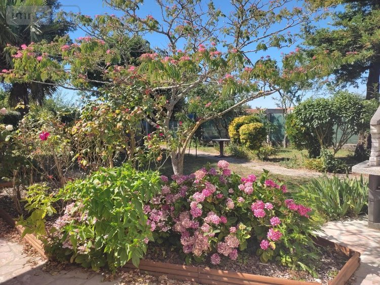 Location maison Saint-Jean-de-Monts 85160 Vendée 112 m2 5 pièces 1050 euros