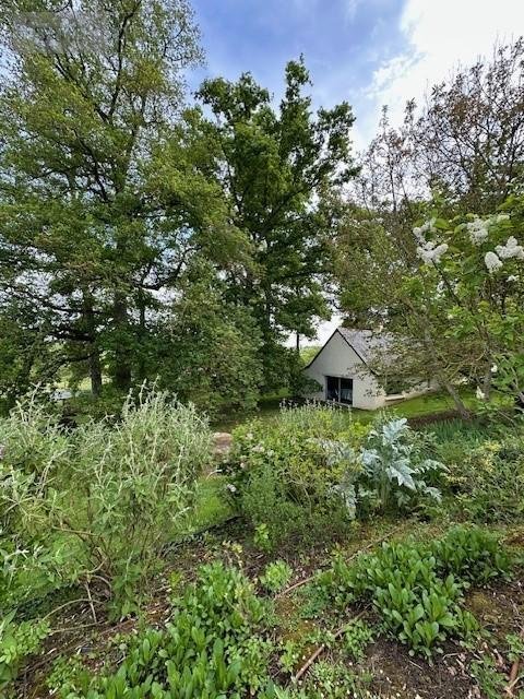 Maison a vendre Blaison-Saint-Sulpice 49320 Maine-et-Loire 400 m2 10 pièces 1388600 euros