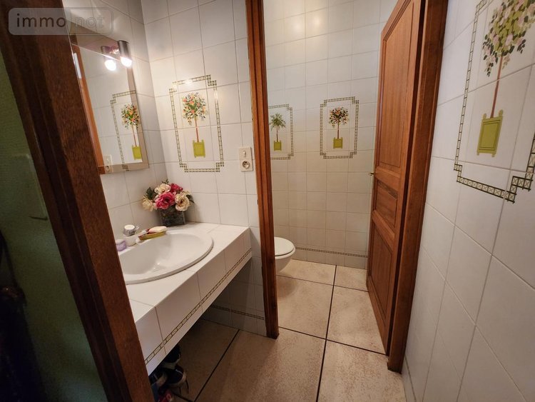 Maison a vendre Arzano 29300 Finistère 207 m2  852117 euros