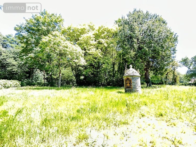 Maison a vendre Carentoir 56910 Morbihan 250 m2 8 pièces 187800 euros