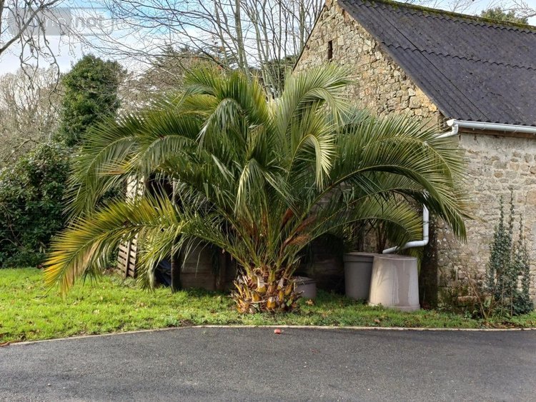 Maison a vendre Guidel 56520 Morbihan 257 m2 8 pièces 795915 euros