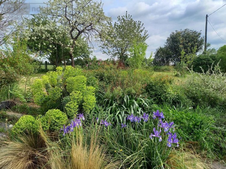 Maison a vendre Val d'Erdre-Auxence 49370 Maine-et-Loire 111 m2 4 pièces 270400 euros