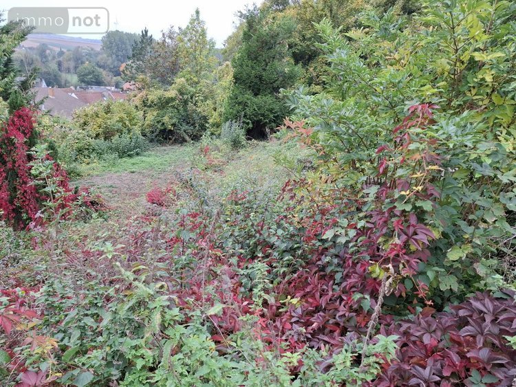 Maison a vendre Camblain-Châtelain 62470 Pas-de-Calais 100 m2 5 pièces 161000 euros