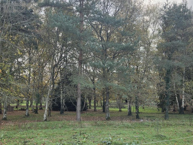 Maison a vendre Château-Gontier-sur-Mayenne 53200 Mayenne 235 m2 9 pièces 518000 euros