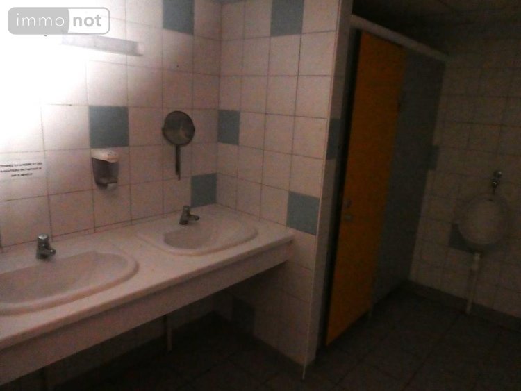 Maison a vendre Silfiac 56480 Morbihan 350 m2 10 pièces 288600 euros