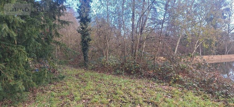 Terrain a batir a vendre Yvré-l'Évêque 72530 Sarthe 14299 m2  42000 euros