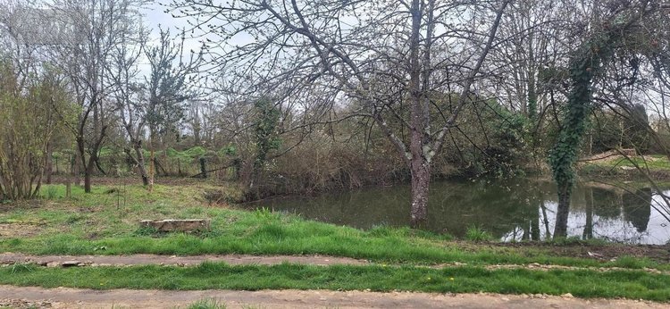 Maison a vendre Beaufay 72110 Sarthe 65 m2 2 pièces 84000 euros