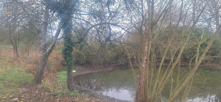 Maison a vendre Beaufay 72110 Sarthe 65 m2 2 pièces 84000 euros