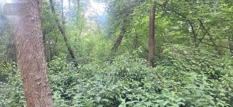 Terrain a batir a vendre Torcé-en-Vallée 72110 Sarthe 6950 m2  28200 euros