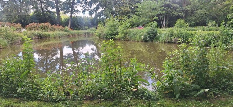 Terrain a batir a vendre Torcé-en-Vallée 72110 Sarthe 6950 m2  28200 euros