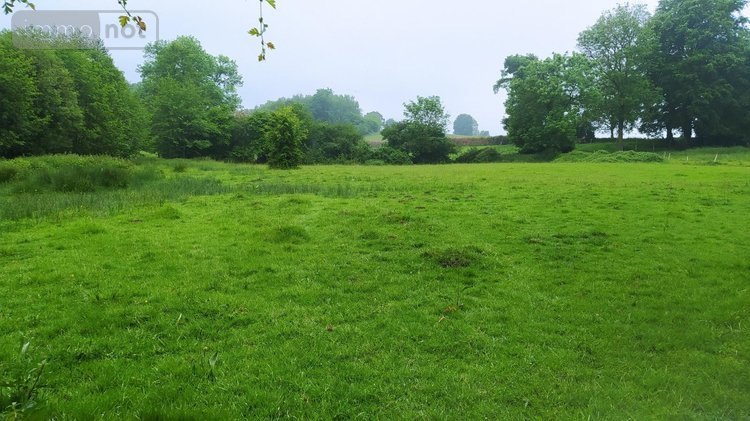 Terrain a batir a vendre Tinchebray Bocage 61800 Orne 19903 m2  24500 euros