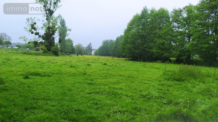 Terrain a batir a vendre Tinchebray Bocage 61800 Orne 19903 m2  24500 euros