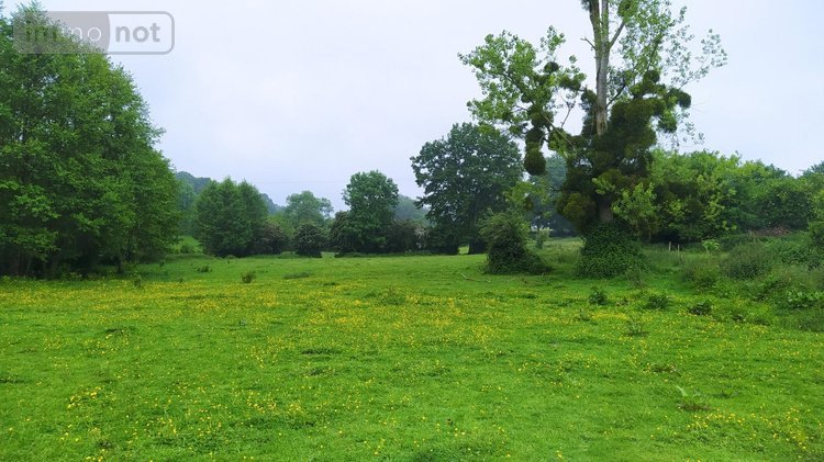 Terrain a batir a vendre Tinchebray Bocage 61800 Orne 19903 m2  24500 euros