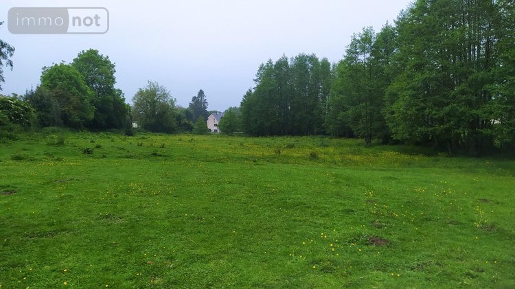 Terrain a batir a vendre Tinchebray Bocage 61800 Orne 19903 m2  24500 euros