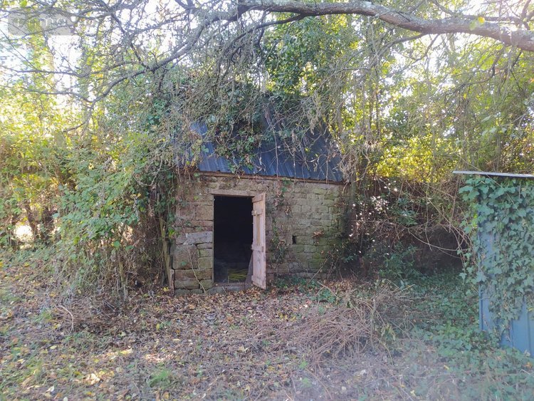 Maison a vendre Tinchebray Bocage 61800 Orne 81 m2 3 pièces 45000 euros