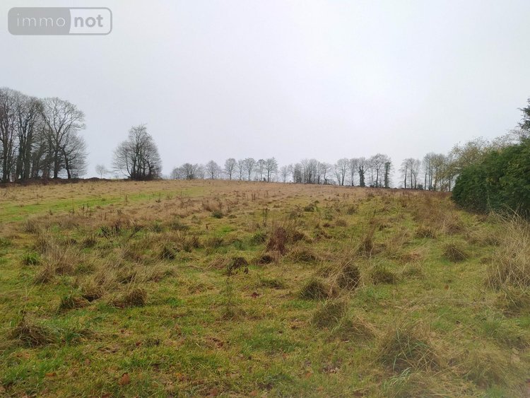 Maison a vendre Ger 50850 Manche 100 m2 4 pièces 150000 euros