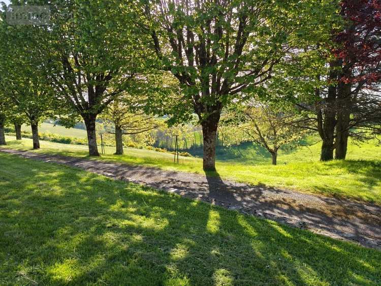 Maison a vendre Montsalvy 15120 Cantal 210 m2 8 pièces 332800 euros
